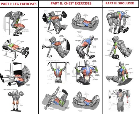 fitness-911 photos|Full Body Workout 5 Sets 10 Reps .